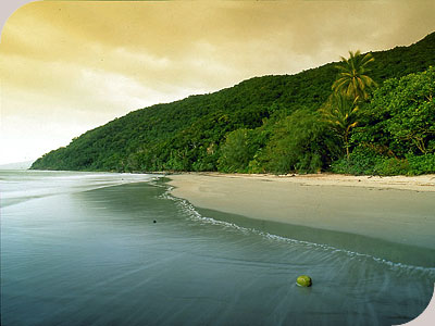 Coconut Beach Resort - Coconut Beach