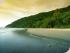 Coconut Beach Resort - Coconut Beach