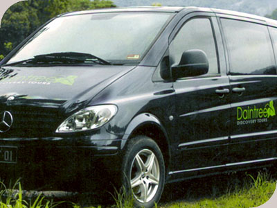 Daintree Discovery Tours - 