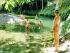 Daintree Discovery Tours -