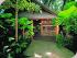 Ferntree Rainforest Lodge - Ferntree Resort