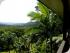 Daintree Views - Uninterrupted Rainforest Views