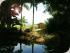 Daintree Views -