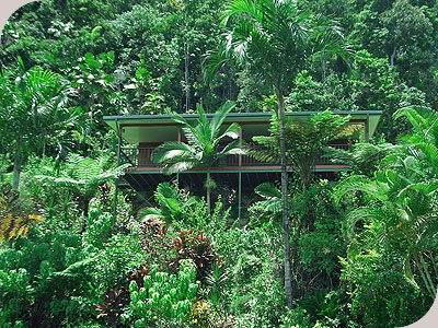 Daintree Views - Daintree Views