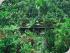 Daintree Views - Daintree Views