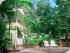 Palm Cove Tropic -