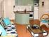 Palm Cove Tropic -