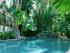 Palm Cove Tropic - Resort Pool