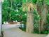 Palm Cove Tropic -