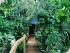 Mount Quincan -
