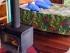 Mount Quincan -