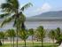 Coral Towers -