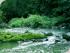 Rivers Edge Cooinda -