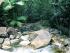 Daintree Secrets - Flowing Creeks