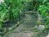 Daintree Secrets - Walking Paths