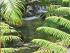 Daintree Secrets - Many Activities