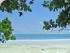 Cape Trib Beach House - Cape Tribulation Beach