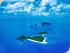 Frankland Islands - 
