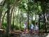 Frankland Islands - 
