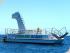 Frankland Islands - 