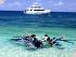 Frankland Islands - 