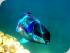 Frankland Islands - 