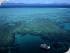 Ocean Freedom -