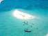Ocean Freedom -