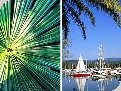 Tropic Sands - 