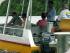 3 Day Reef, Kuranda,CapeTrib - Daintree River Cruise