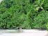 3 Day Reef, Kuranda,CapeTrib - Cape Trib Beach