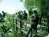 2 day Osprey & Cape Trib -