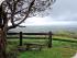 On The Wallaby Overnight - 