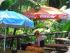 PK's Jungle Village - Jungle Restaurant