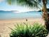 Long Island Resort -