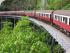 1 Day Green Island & Kuranda -