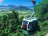 Balloon & Kuranda Combo -