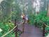 Kuranda Gold Class -