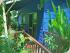 Daintree Escape - Daintree Escape
