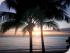 Meridien at Trinity - SUNRISE AT TRINITY BEACH