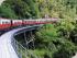 Wildlife & Kuranda Combo - 