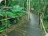 Wildlife & Kuranda Combo - 