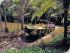 Kuranda & Rainforestation - 