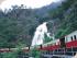 Kuranda & Rainforestation - 