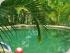 Daintree Escape - Small groups