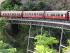 Kuranda & Hartleys - 