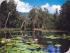 Kuranda & Hartleys - 