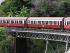 Full Day Kuranda - 