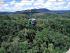 Full Day Kuranda - 