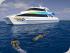 Tusa T6 - Snorkelling